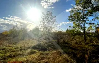Парцел в Пловдив, Прослав