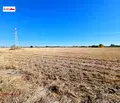 Снимка 4 — Парцел в Пловдив, Прослав