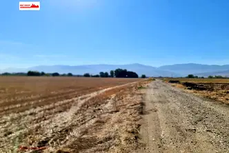 Парцел в Пловдив, Прослав