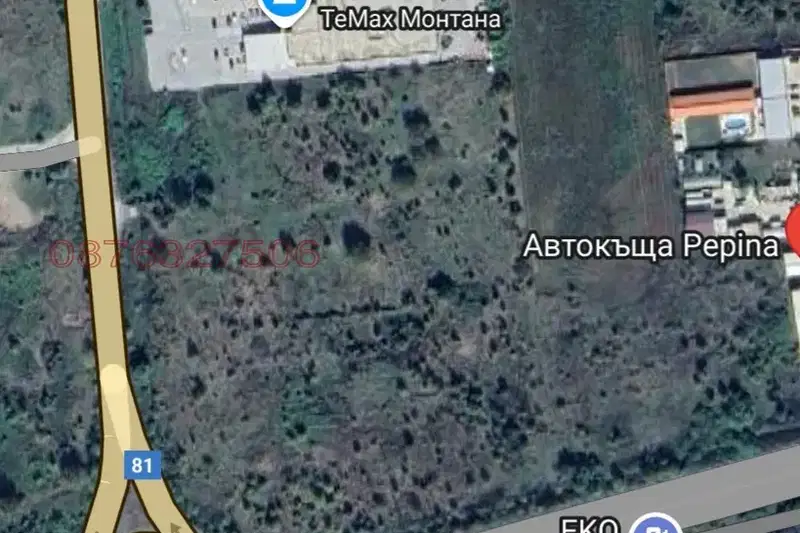 Парцел в Монтана, Пъстрина