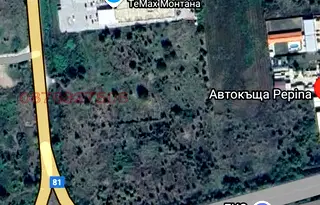 Парцел в Монтана, Пъстрина