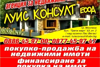 Парцел в Монтана, Пъстрина