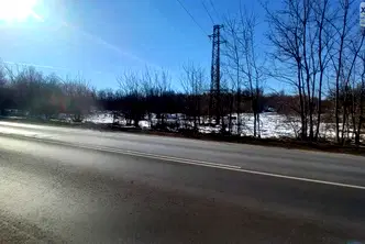 Парцел в Монтана, Пъстрина