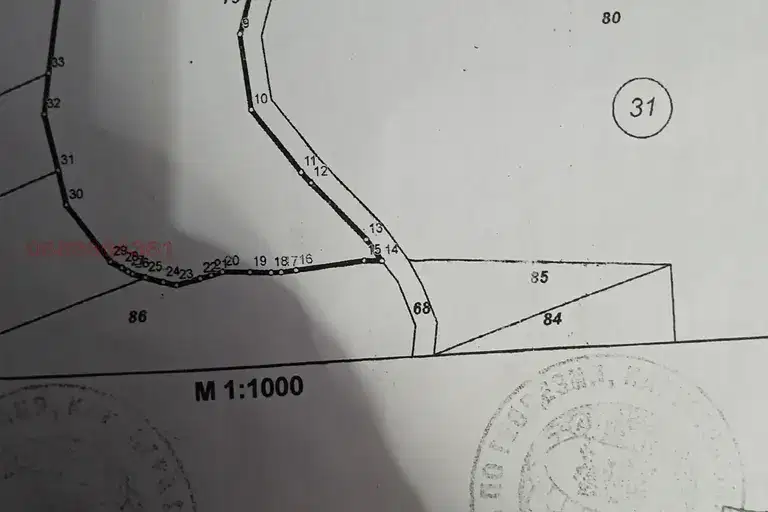 Plot in Montana, Pystrina