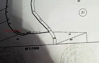 Парцел в Монтана, Пъстрина