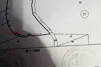 Парцел в Монтана, Пъстрина
