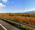Снимка 5 — Парцел в София, ПЗ Илиянци