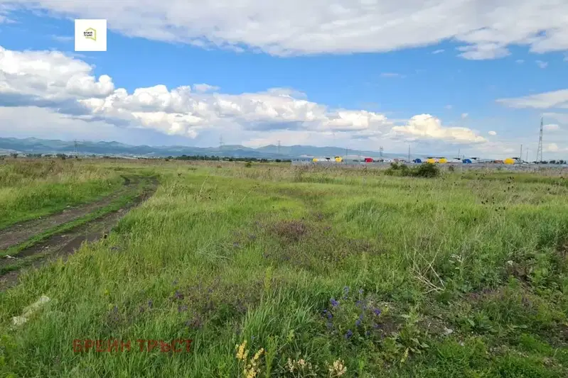 Plot in Sofiya, Pz Iliyanci