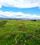 Парцел в София, ПЗ Илиянци