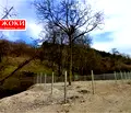 Снимка 2 — Парцел в Перник, Ралица