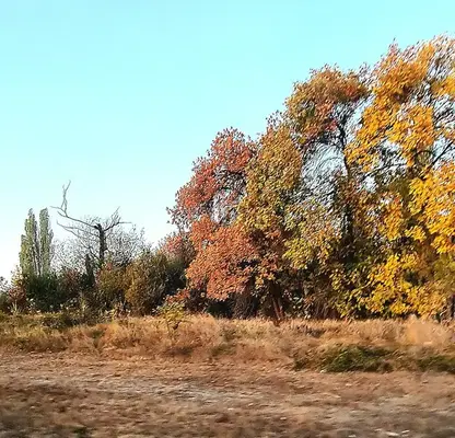 Photo 2 — Plot in Sofiya, Republika