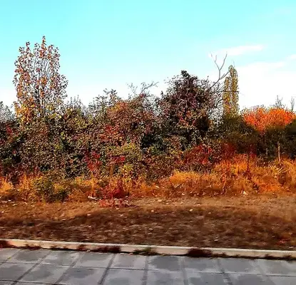 Photo 3 — Plot in Sofiya, Republika