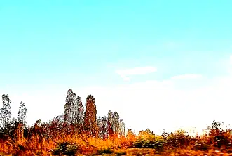 Парцел в София, Република
