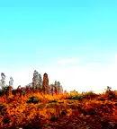 Парцел в София, Република