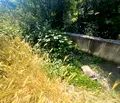 Снимка 3 — Парцел в Кърджали, Резбарци