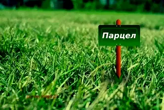 Парцел в Добрич, Рилци