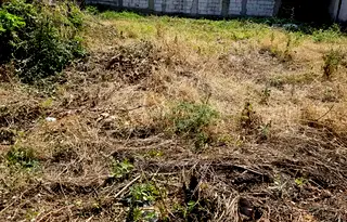 Парцел в Русе, Родина 3