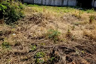 Парцел в Русе, Родина 3