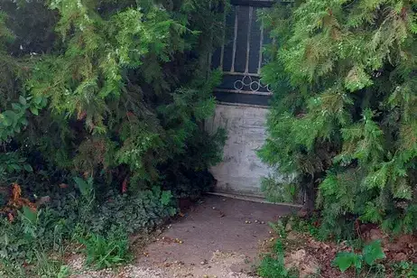 Парцел в Русе, Родина 4