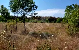 Парцел в Бургас, Рудник