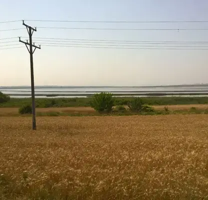 Photo 3 — Plot in Burgas, Rudnik