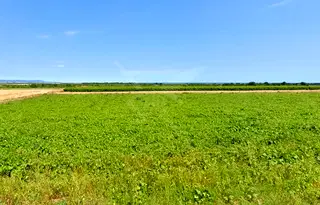 Парцел в Бургас, Рудник