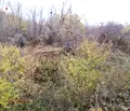 Снимка 2 — Парцел в Стара Загора, Самара 1