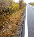 Парцел в Стара Загора, Самара 1