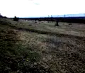 Снимка 3 — Парцел в София, Сеславци