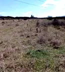 Парцел в София, Сеславци