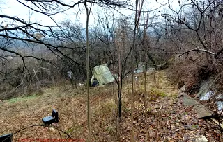 Парцел в Габрово, Шенини