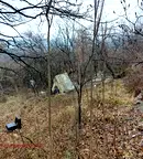 Парцел в Габрово, Шенини