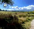 Снимка 5 — Парцел в София, Симеоново