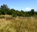 Снимка 4 — Парцел в София, Симеоново