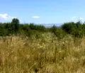 Снимка 5 — Парцел в София, Симеоново