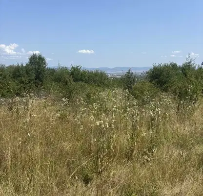 Снимка 5 — Парцел в София, Симеоново