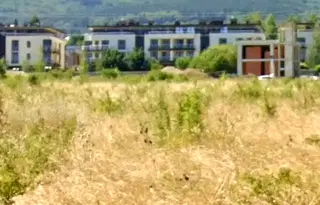 Парцел в София, Симеоново