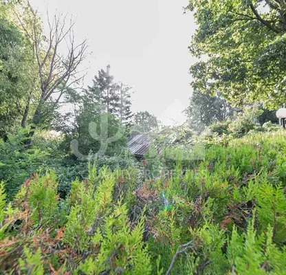 Photo 4 — Plot in Sofiya, Simeonovo