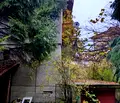 Снимка 5 — Парцел в София, Симеоново