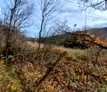 Снимка 2 — Парцел в Габрово, Сирмани