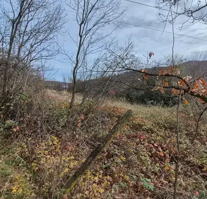 Photo 2 — Plot in Gabrovo, Sirmani