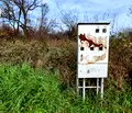 Снимка 4 — Парцел в Габрово, Сирмани