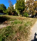 Парцел в Плевен, Сторгозия
