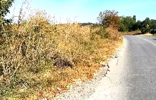 Парцел в София, Суходол