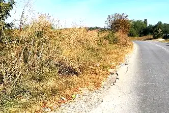 Парцел в София, Суходол