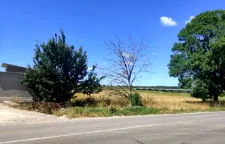Парцел в София, Суходол