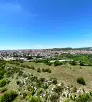 Парцел във Велико Търново, Света гора