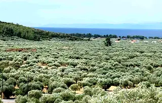 Парцел в Тасос