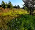 Снимка 2 — Парцел в Перник, Тева