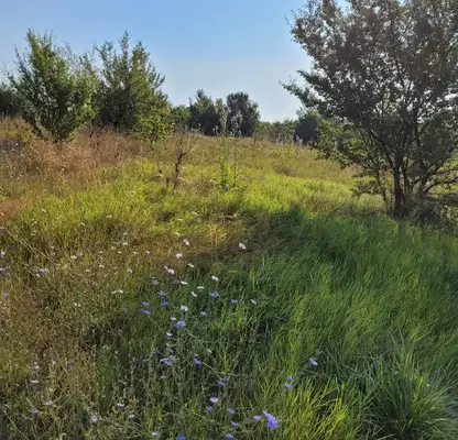 Photo 2 — Plot in Pernik, Teva